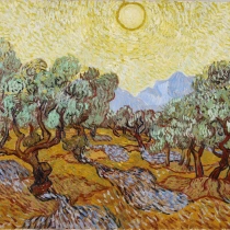 Olive Trees With Yellow Sky And Sun