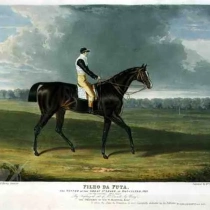 'Filho da Puta', the Winner of the Great St. Leger at Doncaster, 1815