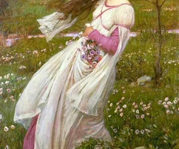 Windflowers 1903
