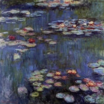Water-Lilies 29