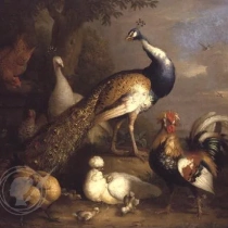 Peacock, Peahen and Poultry in a Landscape