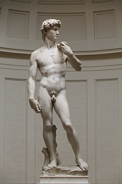 'David' by Michelangelo Fir JBU005 denoised