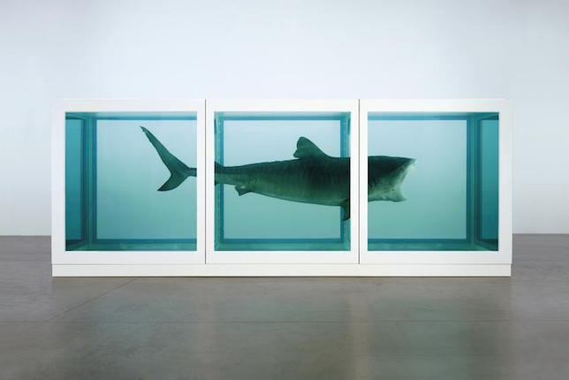 The Physical Impossibility of Death in the Mind of Someone Living, Damien Hirst