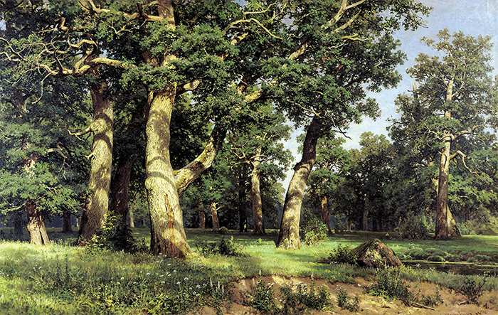 Oak Tree Grove, Ivan Shishkin